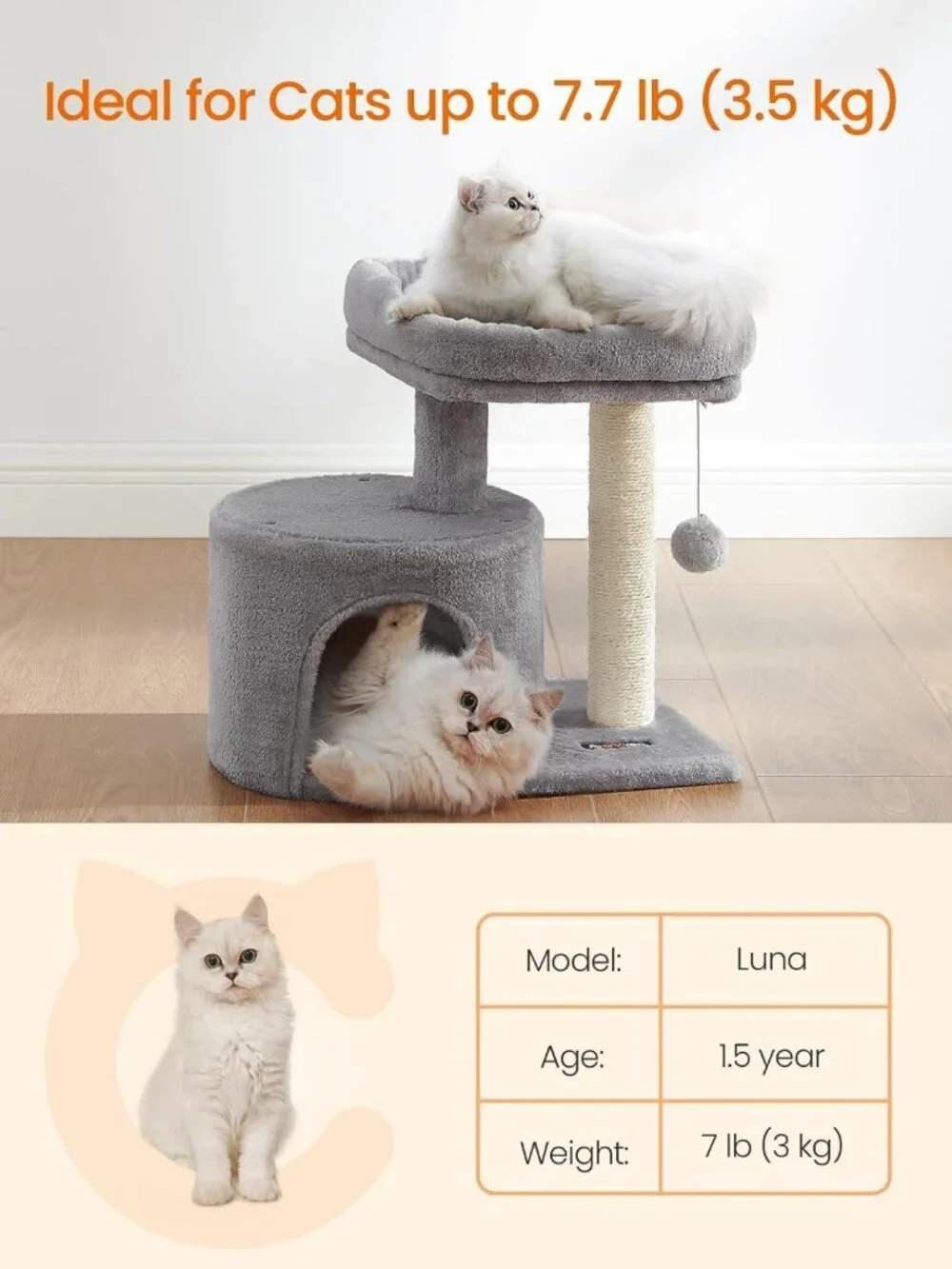 Cozy Small Cat Tree with Scratching Post & Plush Condo for Kittens - Light Gray
